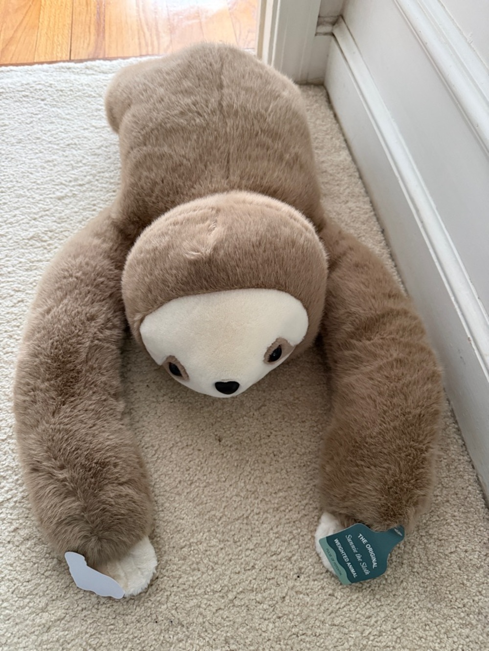 Sunnie the Sloth Weighted Stuffed Animal - Picture 5 of 5